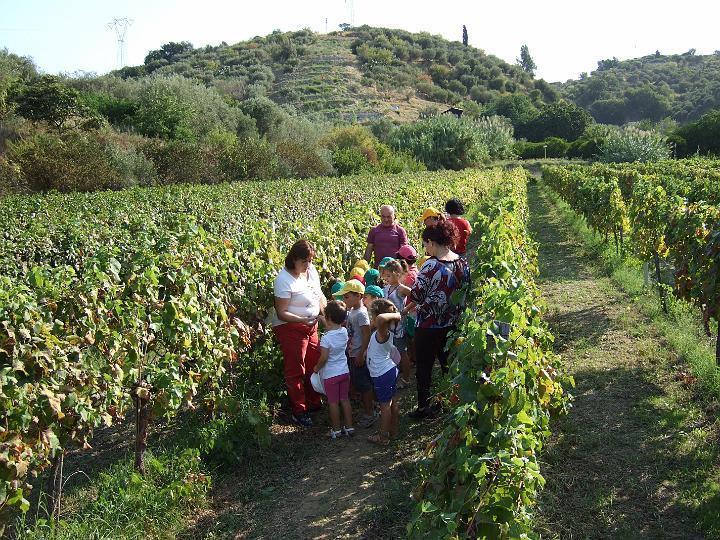 Agriturismo Parra Santa Lucia del Mela Exteriör bild