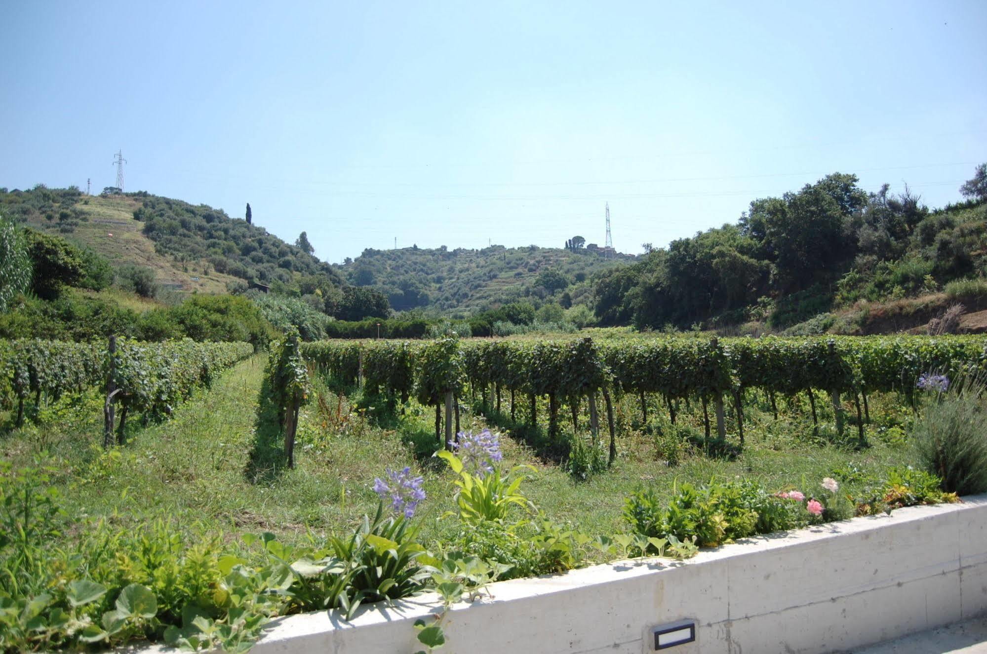 Agriturismo Parra Santa Lucia del Mela Exteriör bild